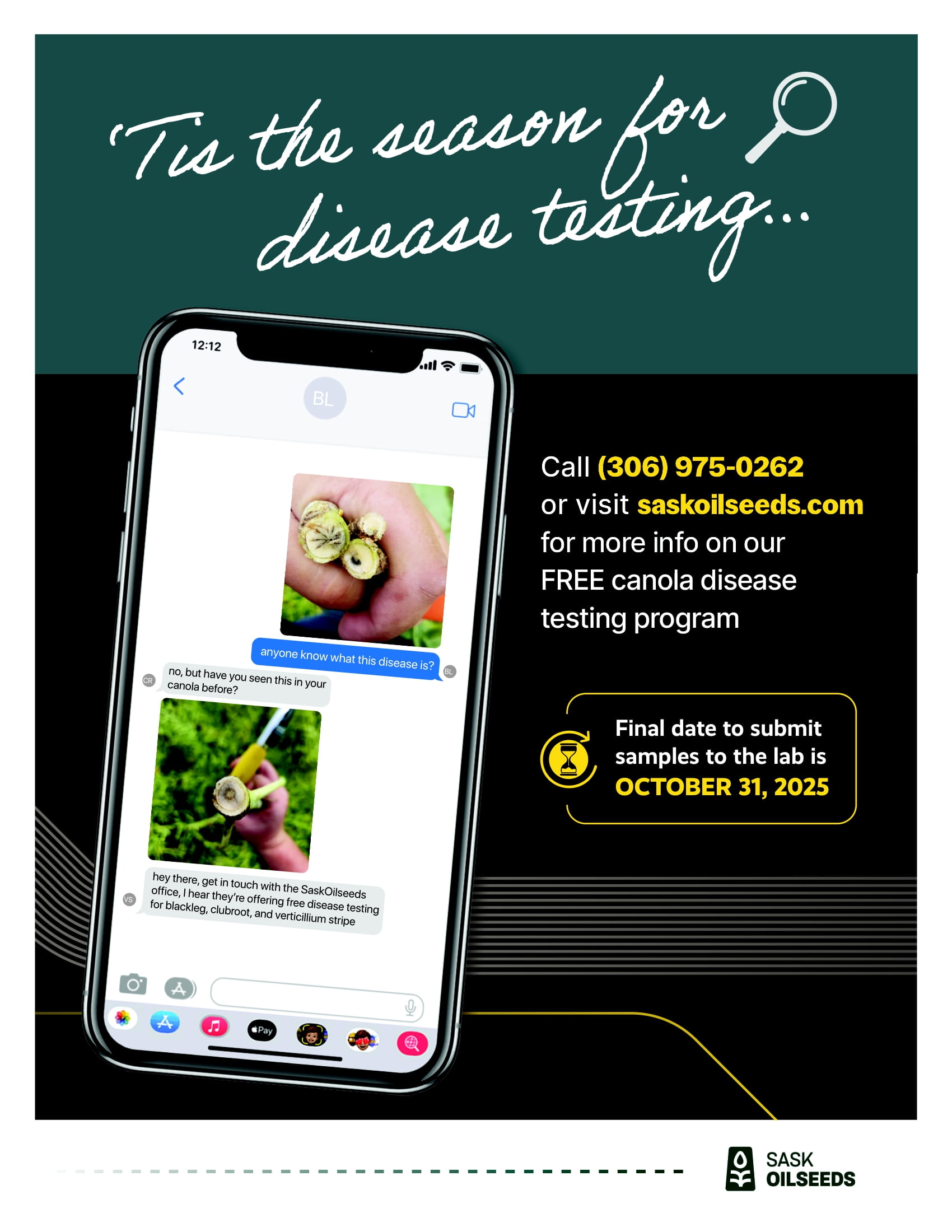 Disease Testing Program 